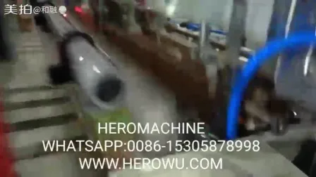 Wholesale All Type Plastic Bag Making Machine for T-Shirt, Vest, Shopping, Patch, Flower, Chicken, Flat, Garbage Bag