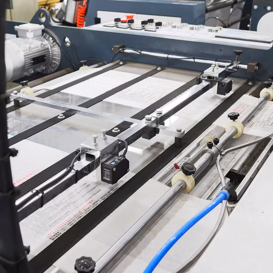 Автоматическая высокоскоростная биоразлагаемая линия с двумя линиями T